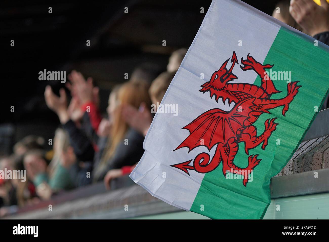 Walisische Flagge in einem Sportstadion, Wales Stockfoto