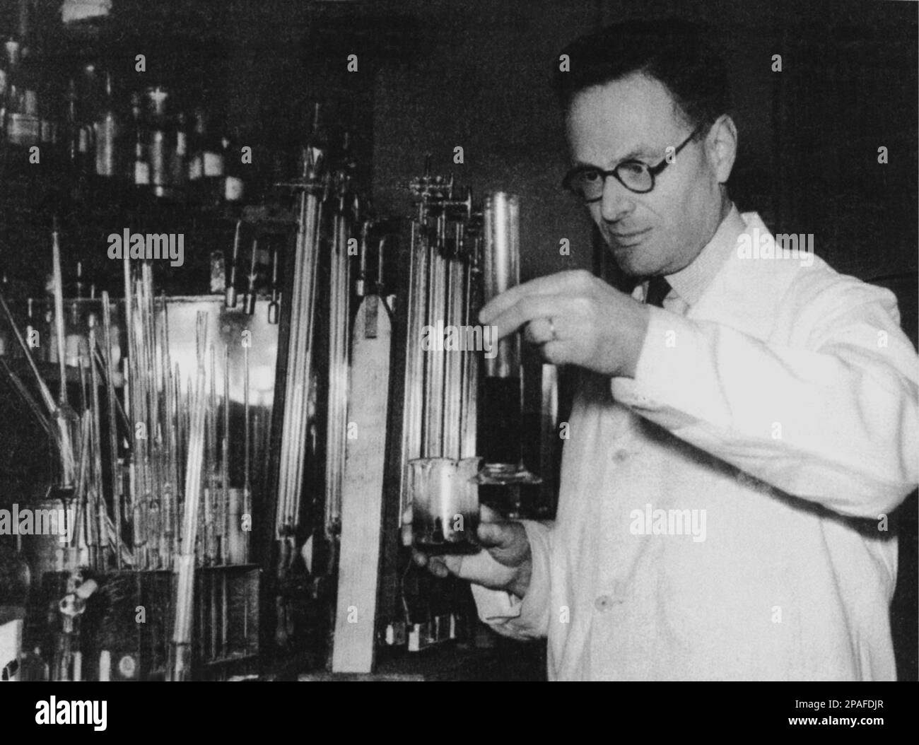 1950 Ca : der deutsche Biochimiker HANS ADOLF KREBS ( Hildesheim 1900 - Oxford 1981 ) erhielt 1953 den Nobelpreis für Medizin oder Phisiologie ( mit F.A. lipmann ) - foto storiche - foto storica - scienziato - Wissenschaftler - Portrait - ritratto - BIOCHIMICA - BIOCHIMICO - Occhiali - Linse - Brille - MEDICO - MEDICINA - Medizin - SCIENZA - WISSENSCHAFT - BIOLOGE - BIOLOGO - BIOLOGIA - PREMIO NOBEL --- ARCHIVIO GBB Stockfoto