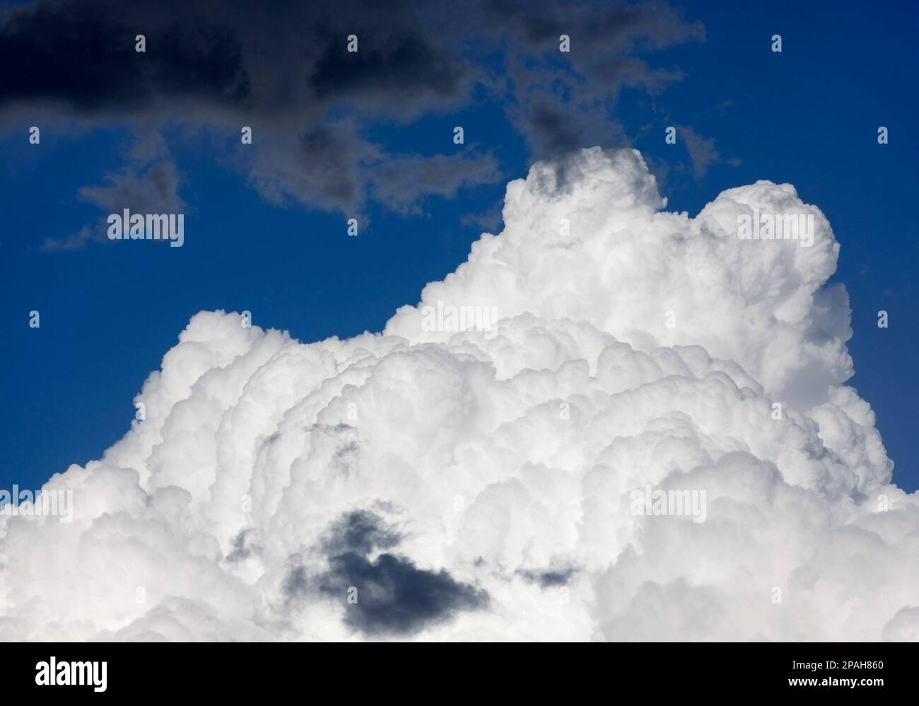 Dunkelgraue Sturmwolken, die sich am sonnigen blauen Himmel in Kanada in Richtung weißer Cumuluswolken bewegen Stockfoto