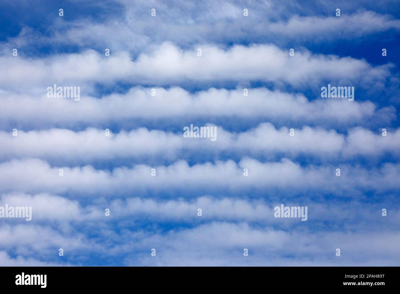 Nebenstraßen, eine Art Wolkenbildung, die auch als horizontale konvektive Rollen bezeichnet wird, in blauem Himmel. Calgary, Alberta, Kanada Stockfoto