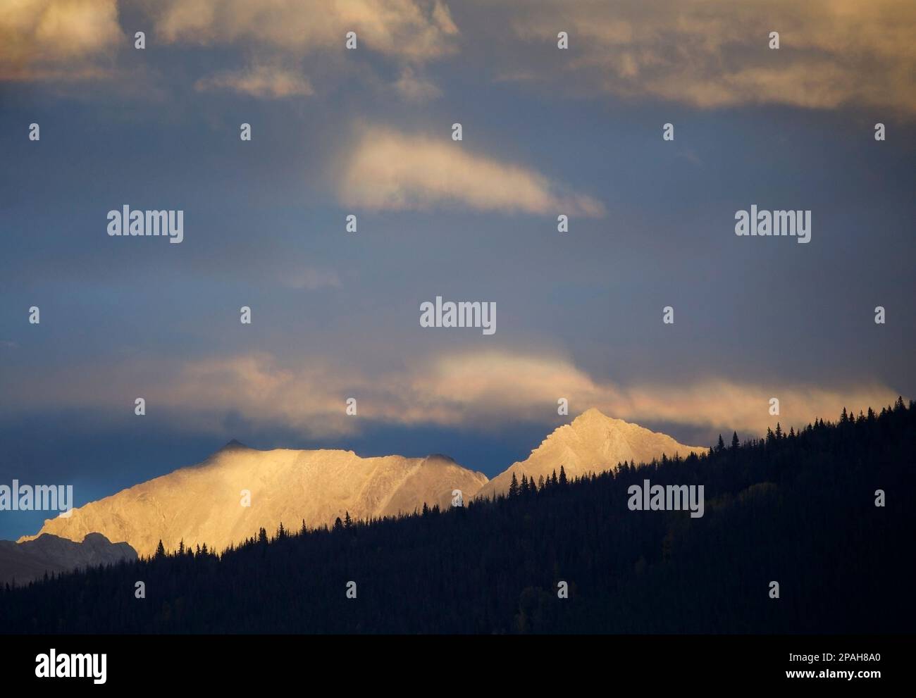 Abendlicht auf einem Bergrücken und Himmel in den Rocky Mountains, Jasper National Park, Alberta, Kanada Stockfoto