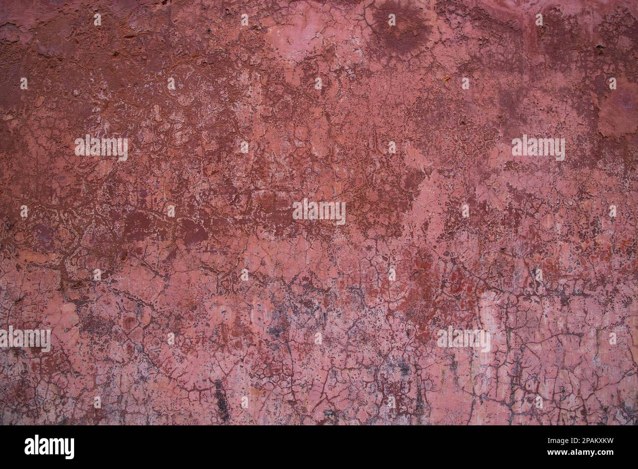 Die Textur einer alten rustikalen Wand ist mit rosa Stuck bedeckt Stockfoto