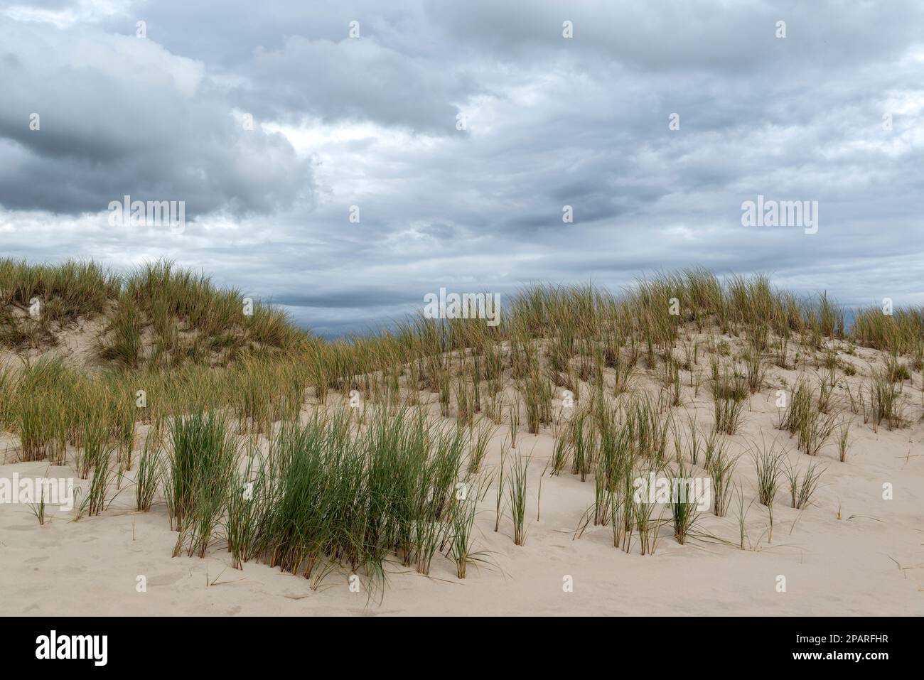 Grasbedeckte Sanddünen unter einem dramatischen Himmel am Maghera Beach, County Donegal, Irland Stockfoto