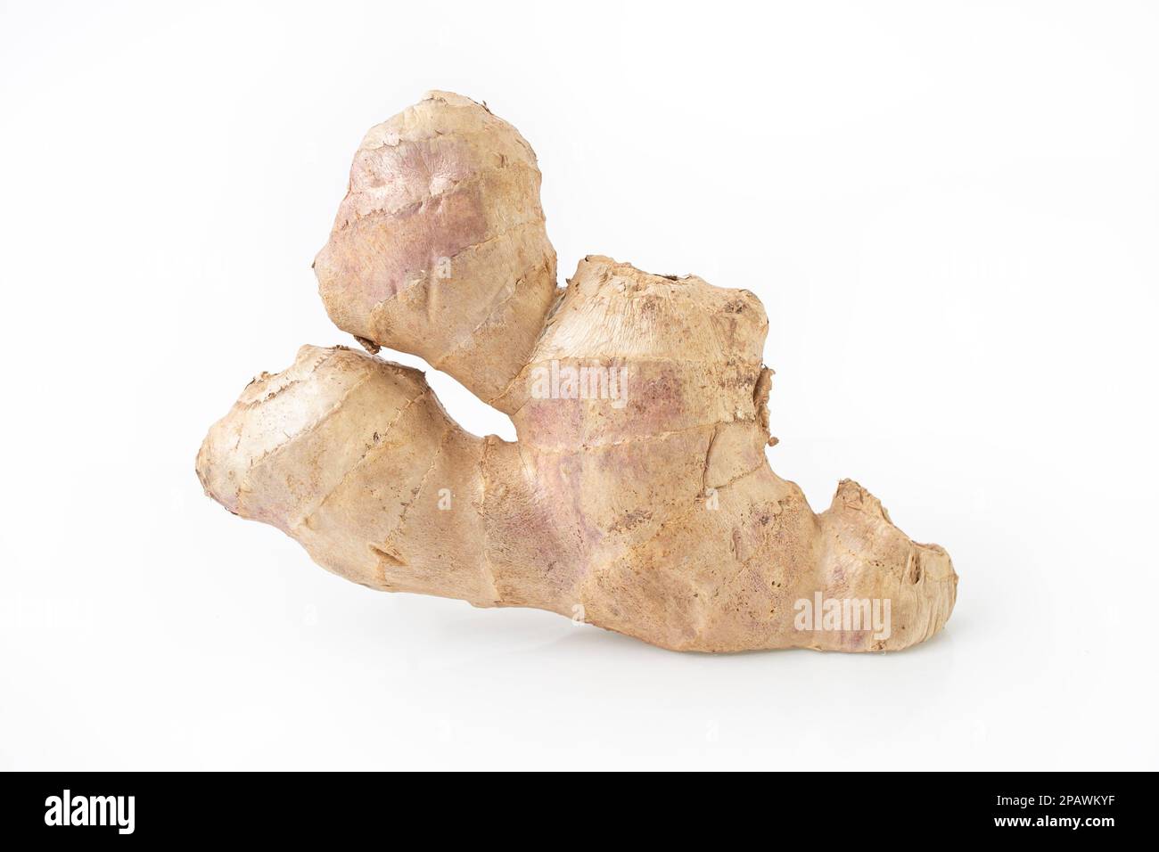 Zingiber officinale Fresh Ginger, Nahaufnahme isoliert auf weißem Hintergrund Stockfoto
