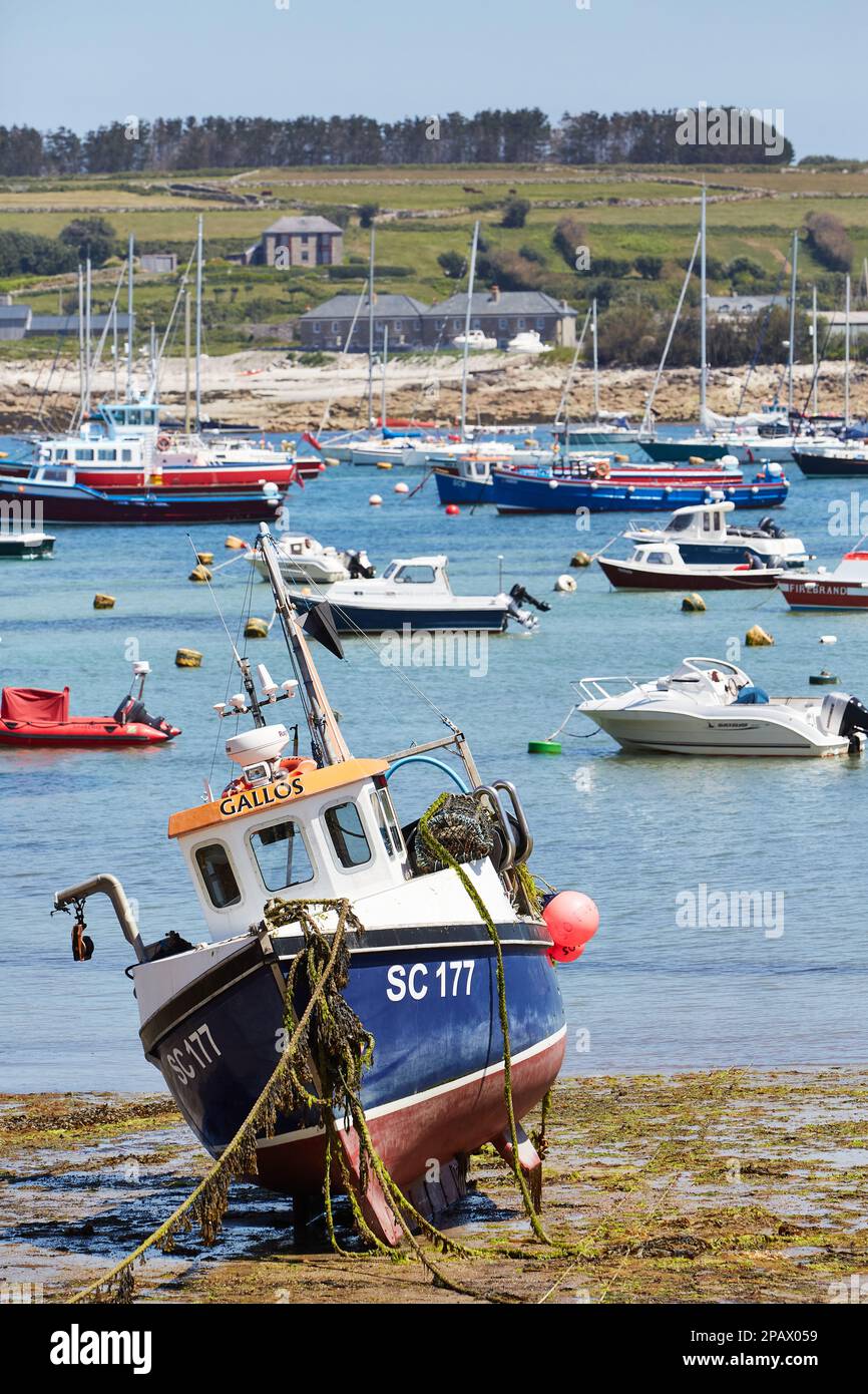 Isles of Scilly - Fischerboot im Hafen von Hugh Town bei Ebbe auf Sand. Andere Baoten, die im Hintergrund schweben. Stockfoto