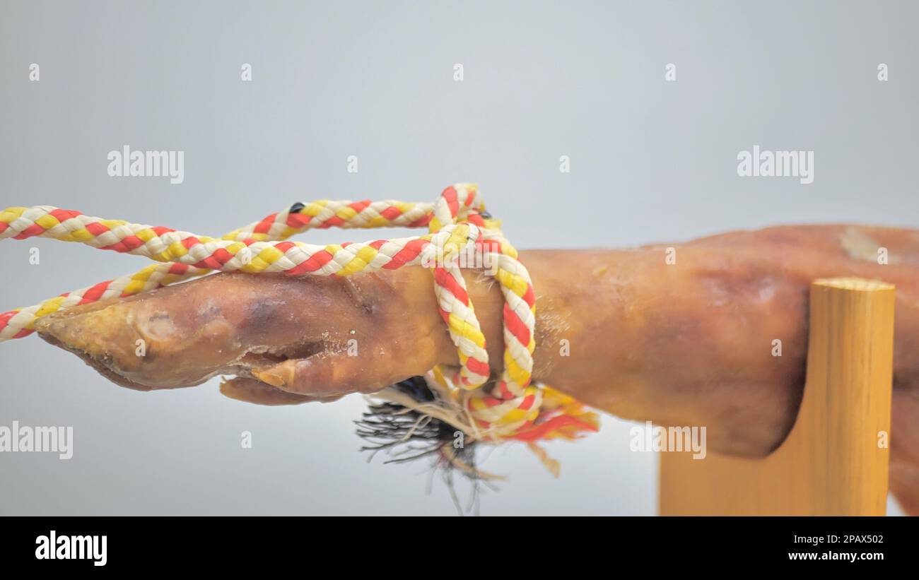 Nahaufnahme serrano-Schinken-Beinpaletilla und Holzschinkenhalter. Schweinehuhn Stockfoto