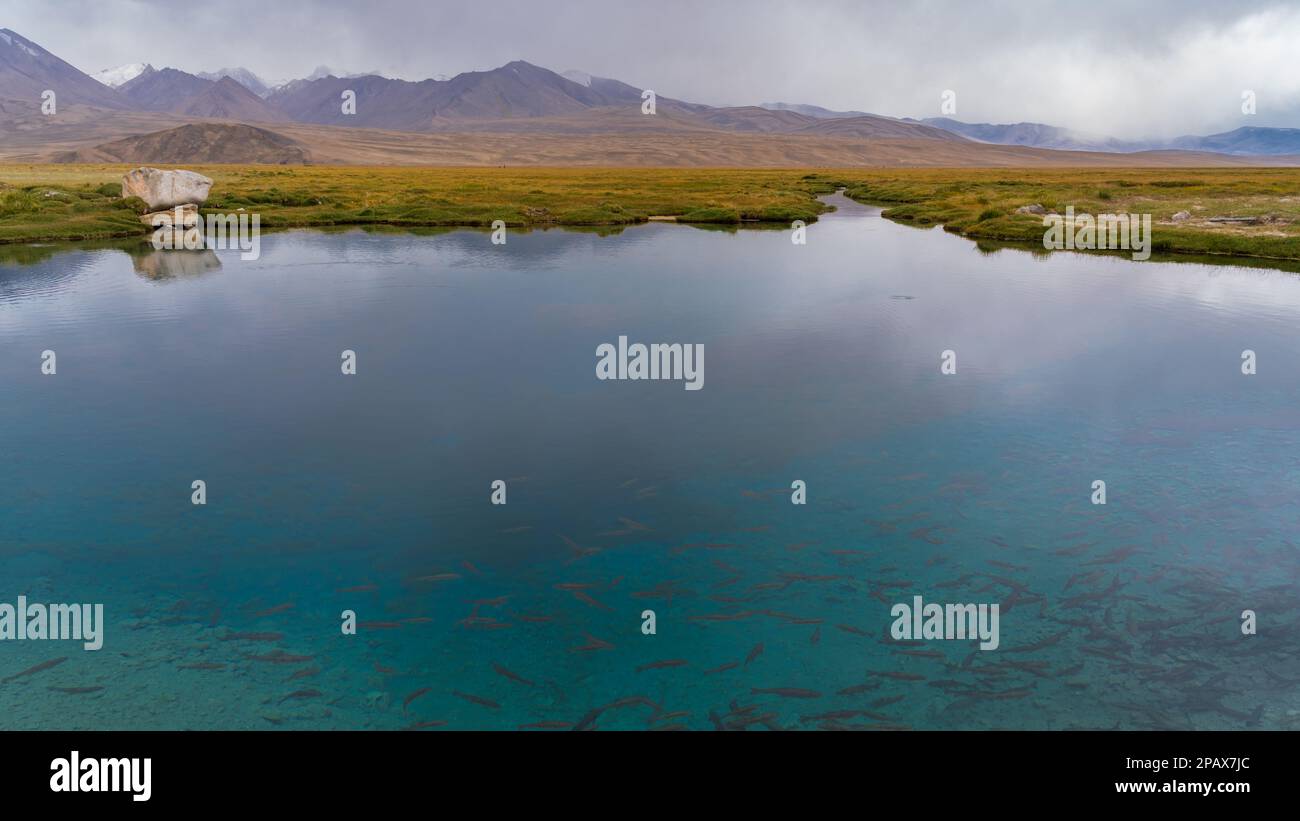 Malerischer Landschaftsblick auf türkisblaues Wasser in der heiligen Quelle von AK Balik im hohen Pamir-Gebirge in der Nähe von Alichur, Gorno-Badakshan, Tadschikistan Stockfoto