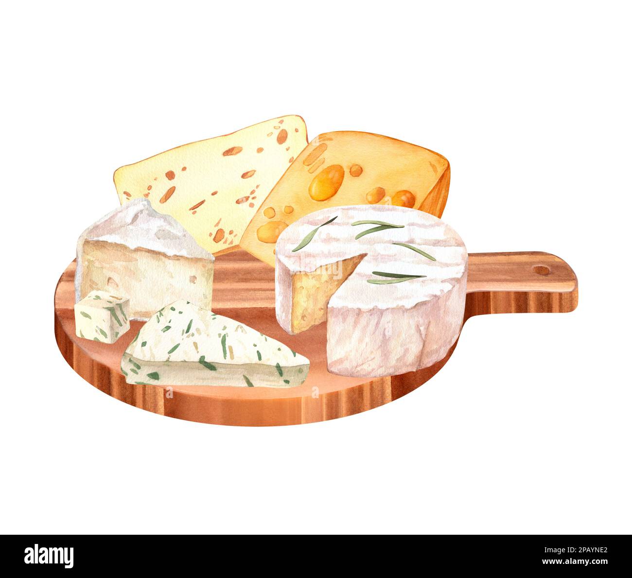 Käse mit geschnittenen Stücken, wasserfarbenes Bild auf Holzbrett. Abbildung: Cremiger, geschnittener Brie- oder Camembert-Käse. Bild: Köstliches Essen. Französische Küche Stockfoto