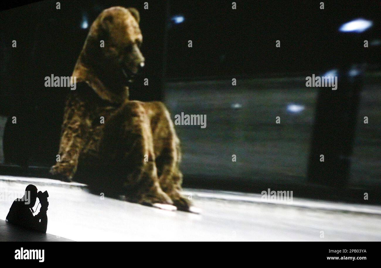 A photographer photographs a work by shortlisted artist Mark Wallinger, during the Turner Prize press day at the Tate Art Gallery in Liverpool, England, Thursday Oct. 18, 2007. Wallinger's work, titled Sleeper 2004/5, is a video of a man in a bear suit, walking around the Neue Nationalgalerie in Berlin. The Turner Prize, which is normally held in London, is being hosted by Liverpool to mark the city being the European Capital of Culture for 2008. (AP Photo/Dave Thompson) Stockfoto