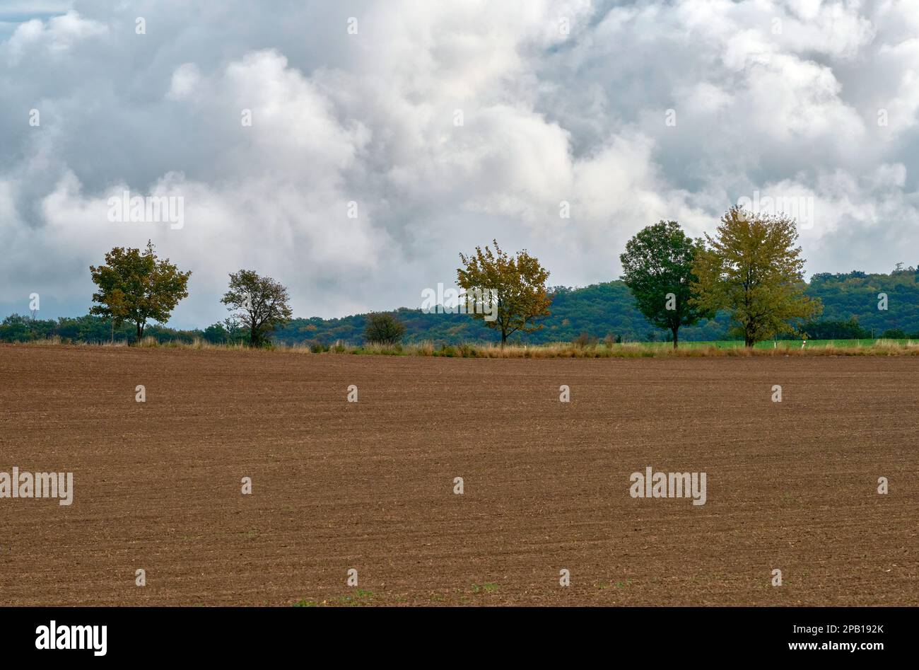 Herbstlandschaft im tschechischen Land Stockfoto