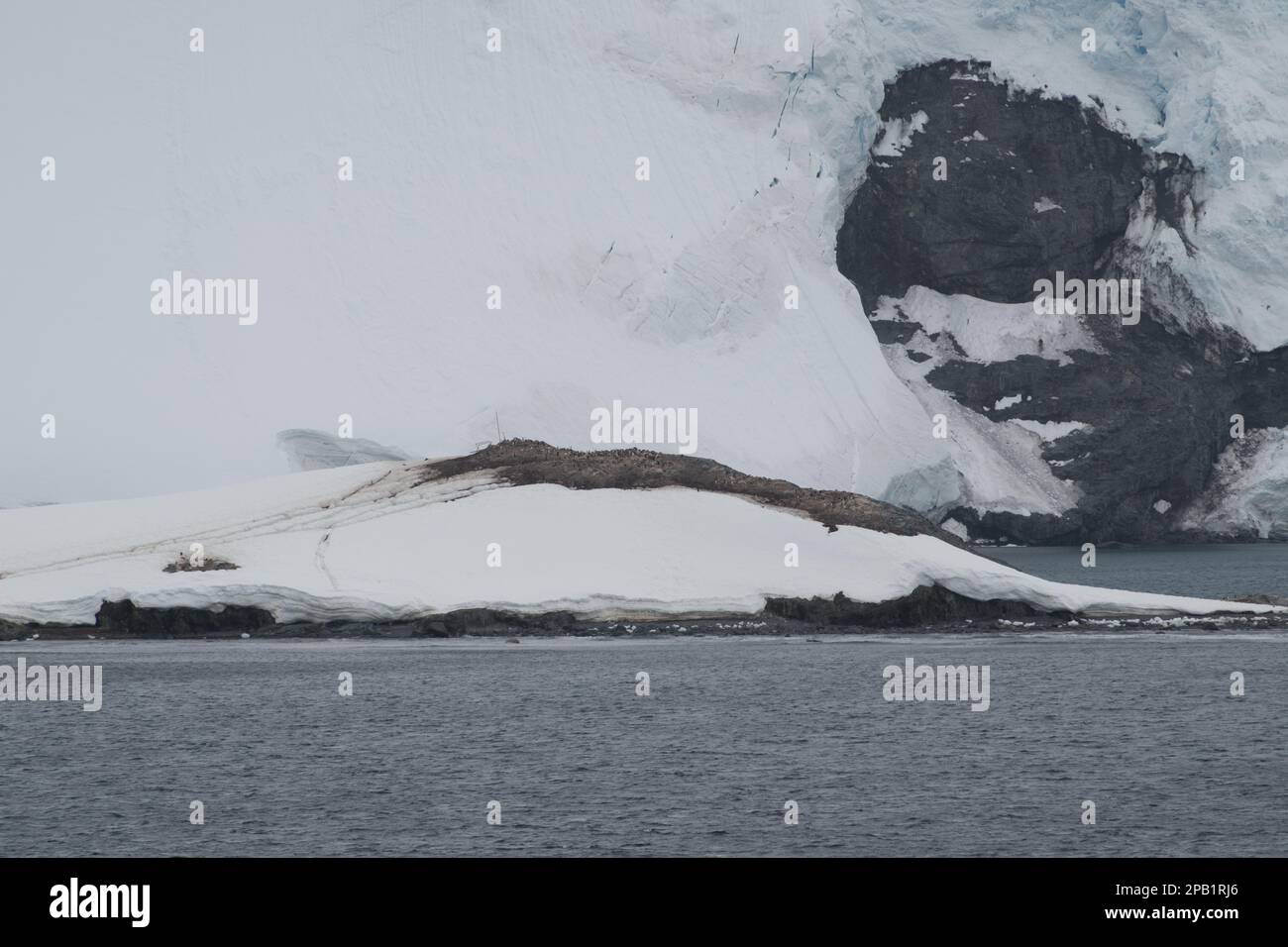 Argentinische Hütte auf Trinity Island - Mikkelsen Hafen - Antarktis Stockfoto