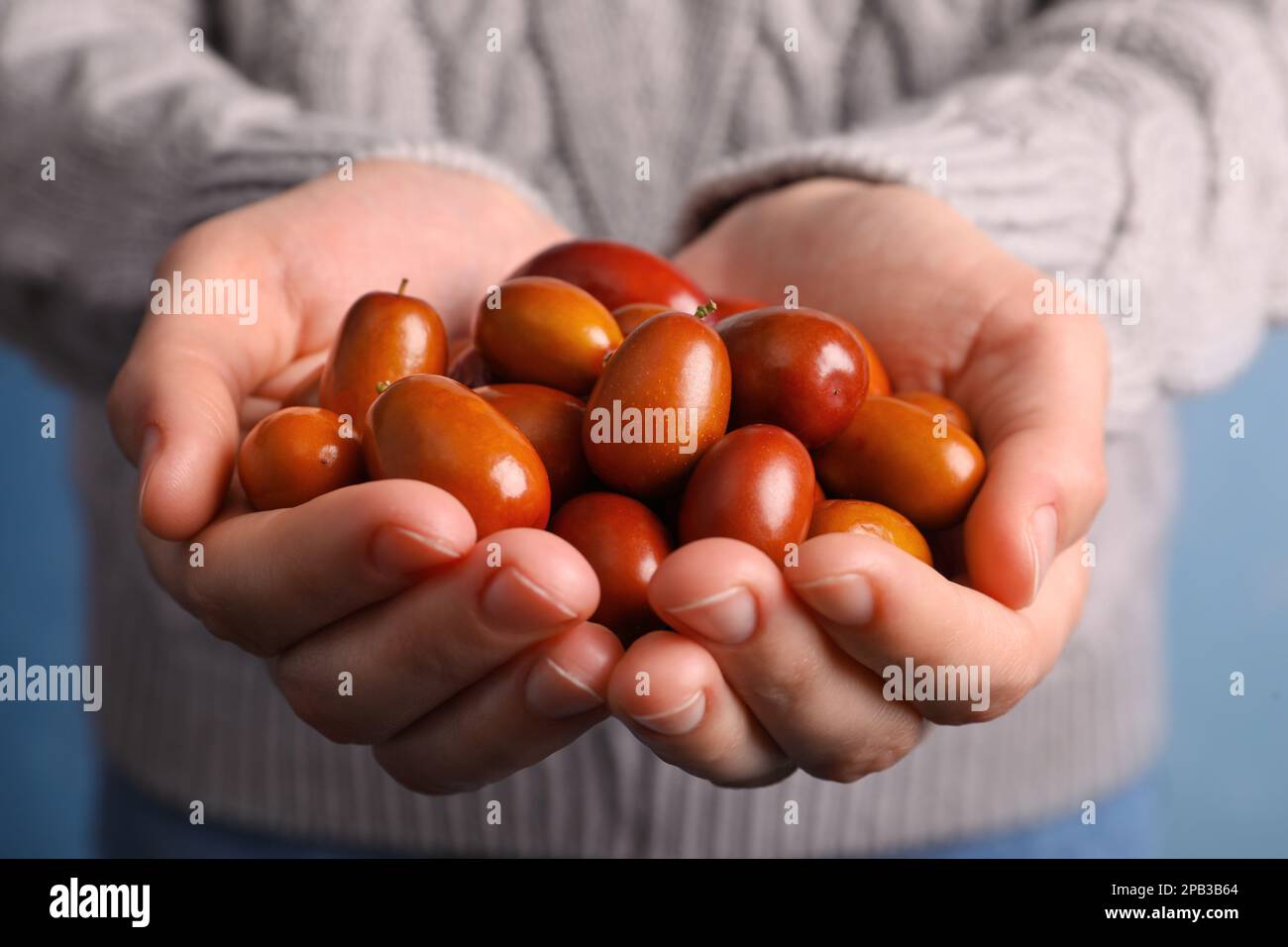 Frau mit einer Handvoll frischer Ziziphus-Jujuba-Früchte, Nahaufnahme Stockfoto