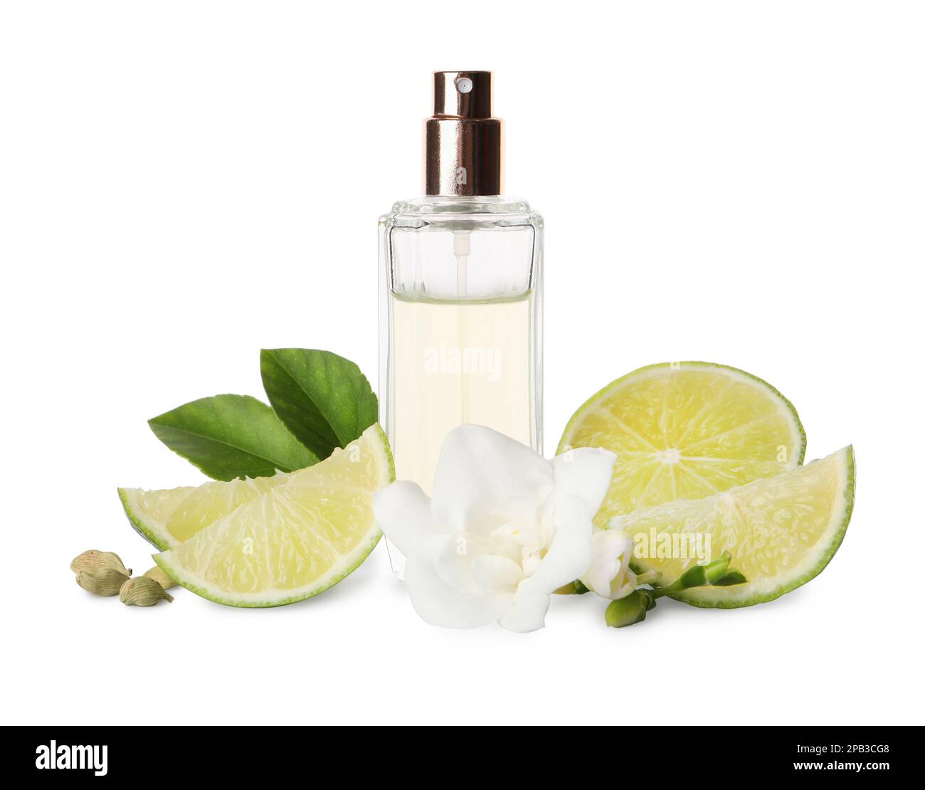 Flasche Parfüm, Limette, Blume und Kardamom auf weißem Hintergrund Stockfoto