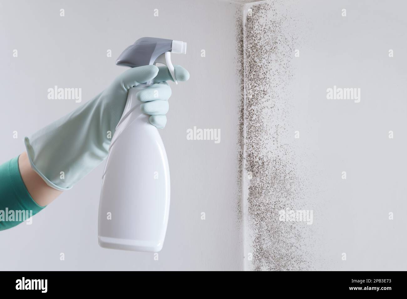 Kaffeebohnen Dosierbecher Set Mit Sprühflasche - Keramik Kaffeezubehör Schwarz