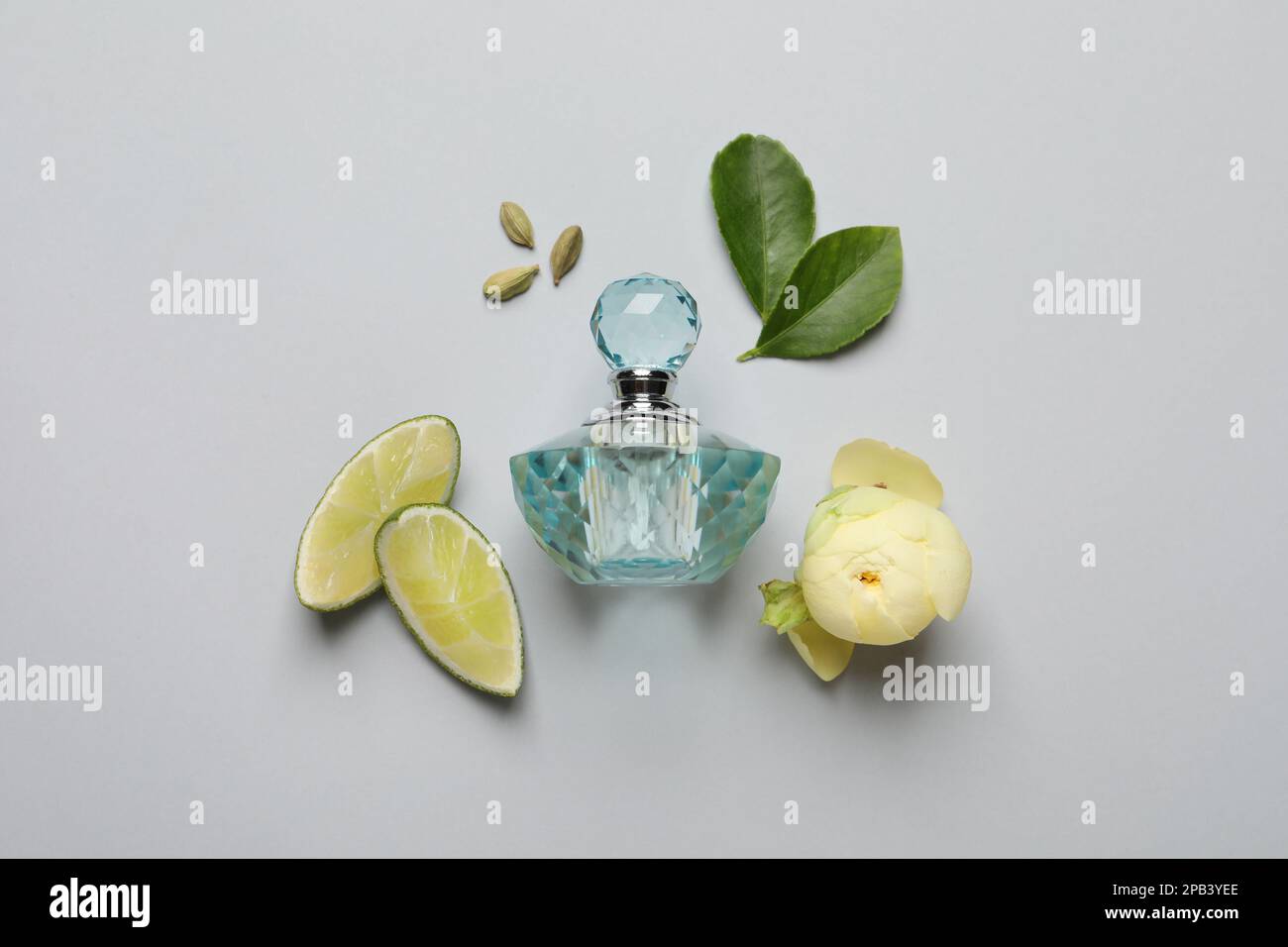 Flache Laienzusammensetzung mit einer Flasche Parfüm, Limette und Blume auf hellgrauem Hintergrund Stockfoto
