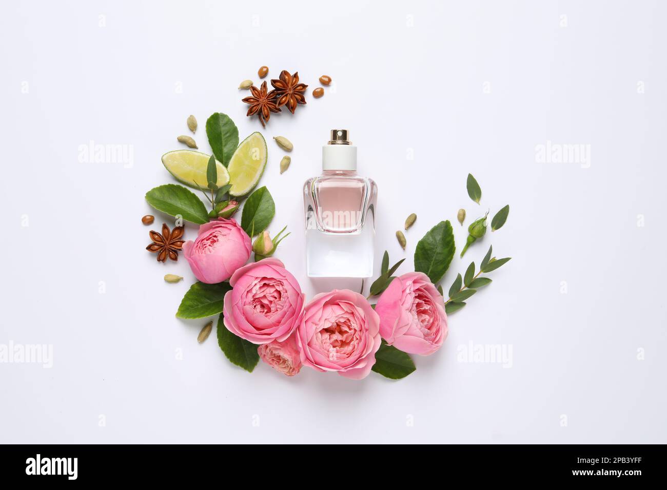 Flache Laienzusammensetzung mit einer Flasche Parfüm, Limette und wunderschönen Blumen auf weißem Hintergrund Stockfoto