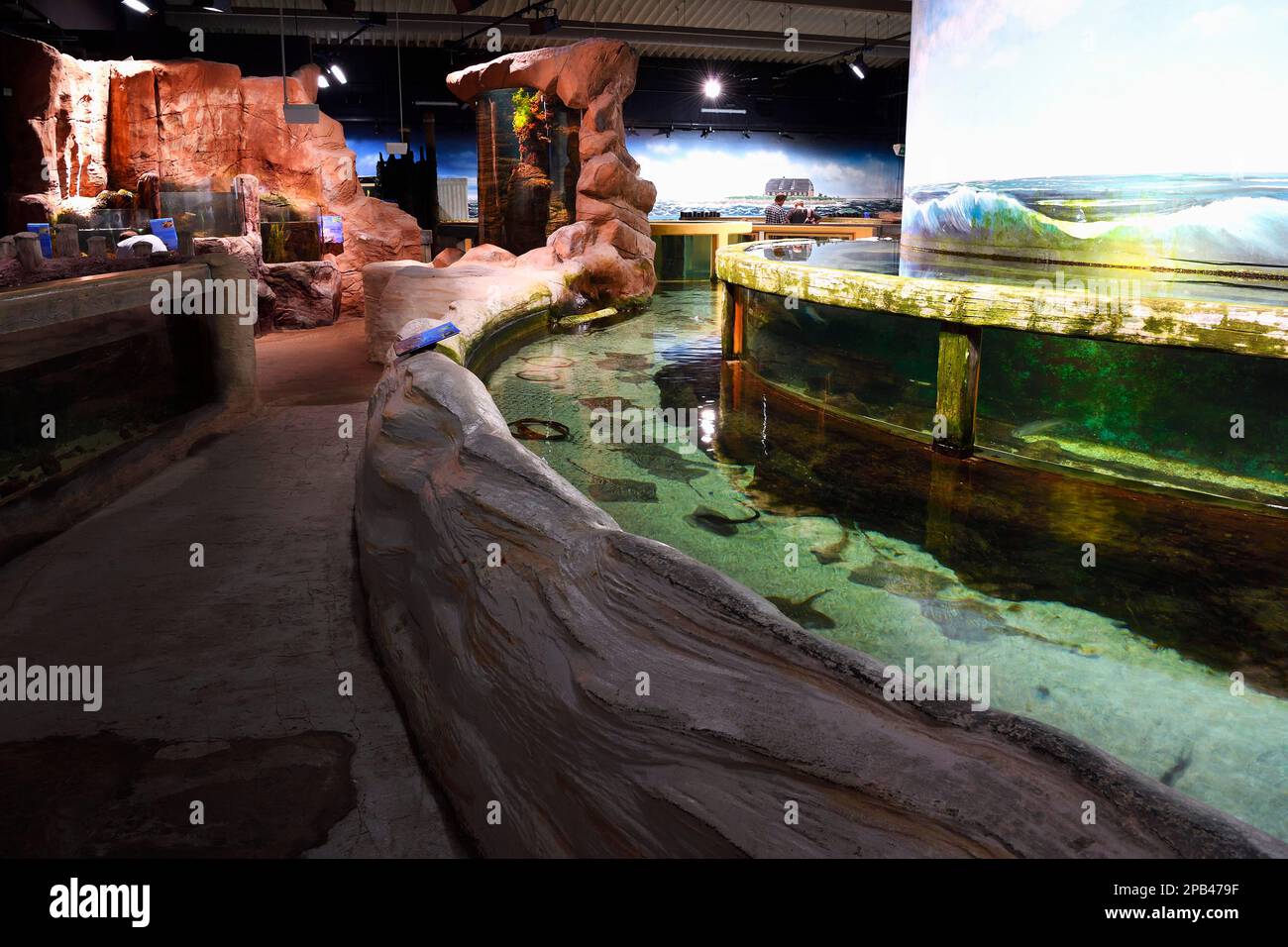 Aquarium Schleswig Holstein