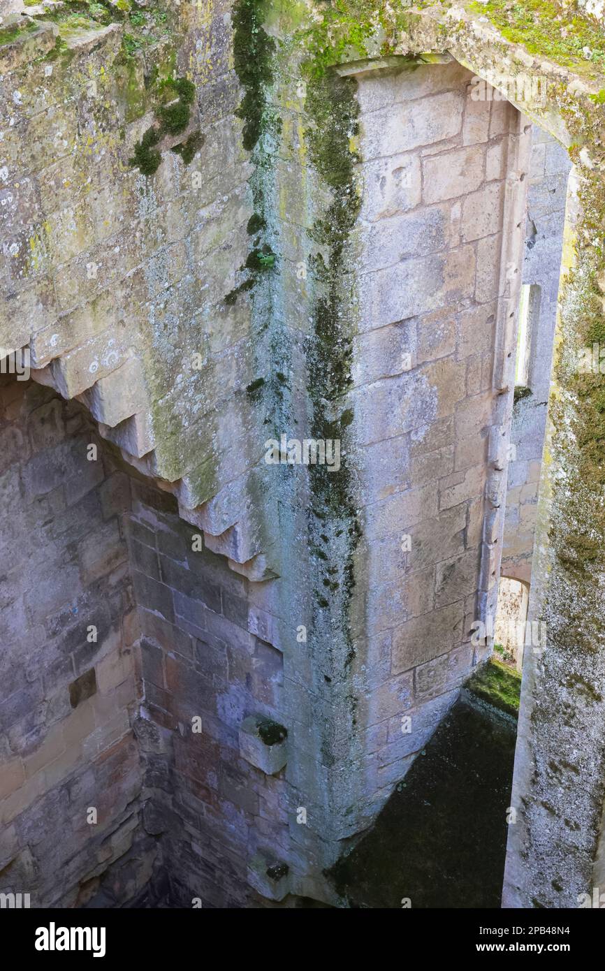 Ruinen und Gelände des alten Wardour Castle: Blick aus der Vogelperspektive Stockfoto