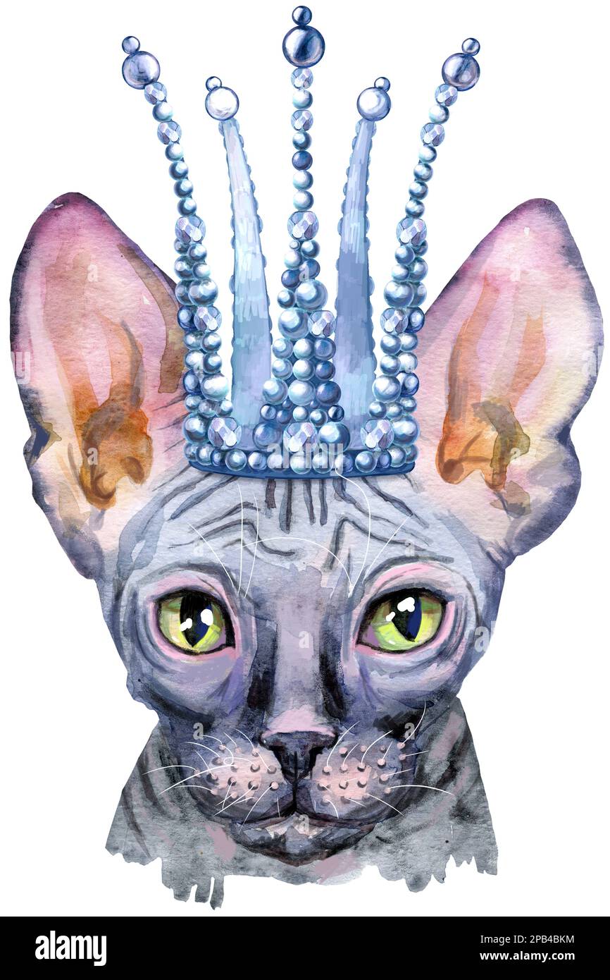 Süße Katze. Katze für T-Shirt-Grafiken. Aquarell Sphynx Katzenrasse Illustration Stockfoto