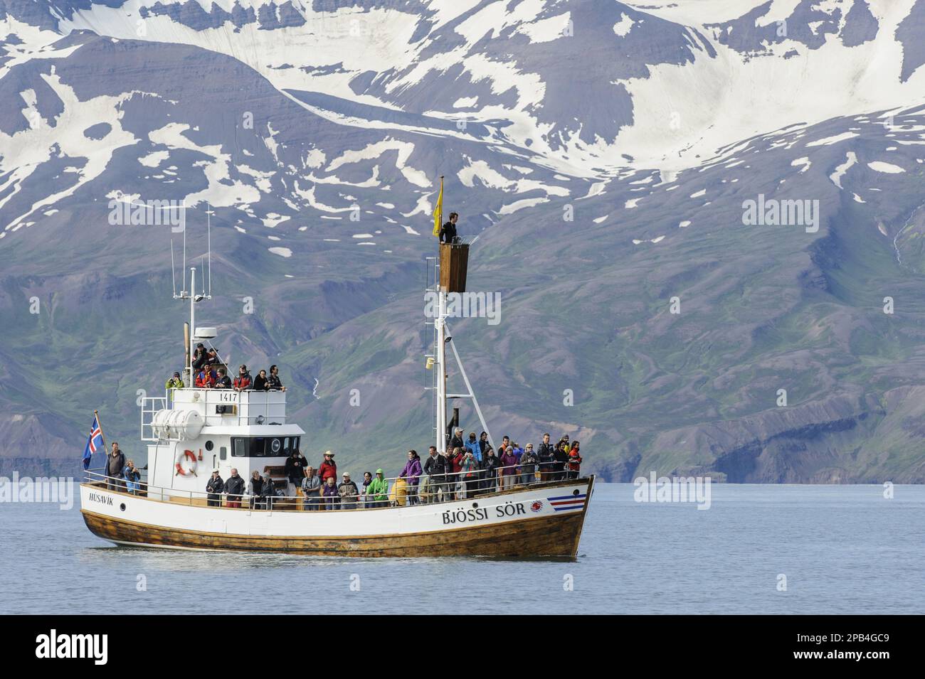 Kommerzielles Walbeobachtungsboot auf dem Meer, Skjalfandi Bay, Island, Europa Stockfoto