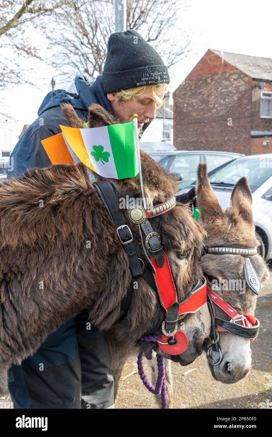 Warrington, Cheshire, Großbritannien - 12. März 2023 – Warrington Irish Club ist Gastgeber des St. Patrick's Day Parade. Beginn um 10,30 Uhr morgens vom Irish Club in der Orford Lane zum „River of Life“ in der Bridge Street im Stadtzentrum, wo ein kurzer Gottesdienst zum Gedenken an den Jahrestag des Bombenanschlags in Warrington abgehalten wurde. Esel, die hinter ihren Ohren die irische Flagge trugen, nahmen Teil an Credit: John Hopkins/Alamy Live News Stockfoto