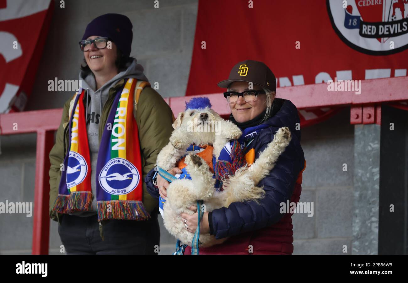 Crawley, Großbritannien. 12. März 2023. Eine Brighton-Unterstützerin und ihr Hund schauen beim FA Women's Super League-Spiel zwischen Brighton & Hove Albion und Manchester City im Broadfield Stadium zu. Kredit: James Boardman/Alamy Live News Stockfoto