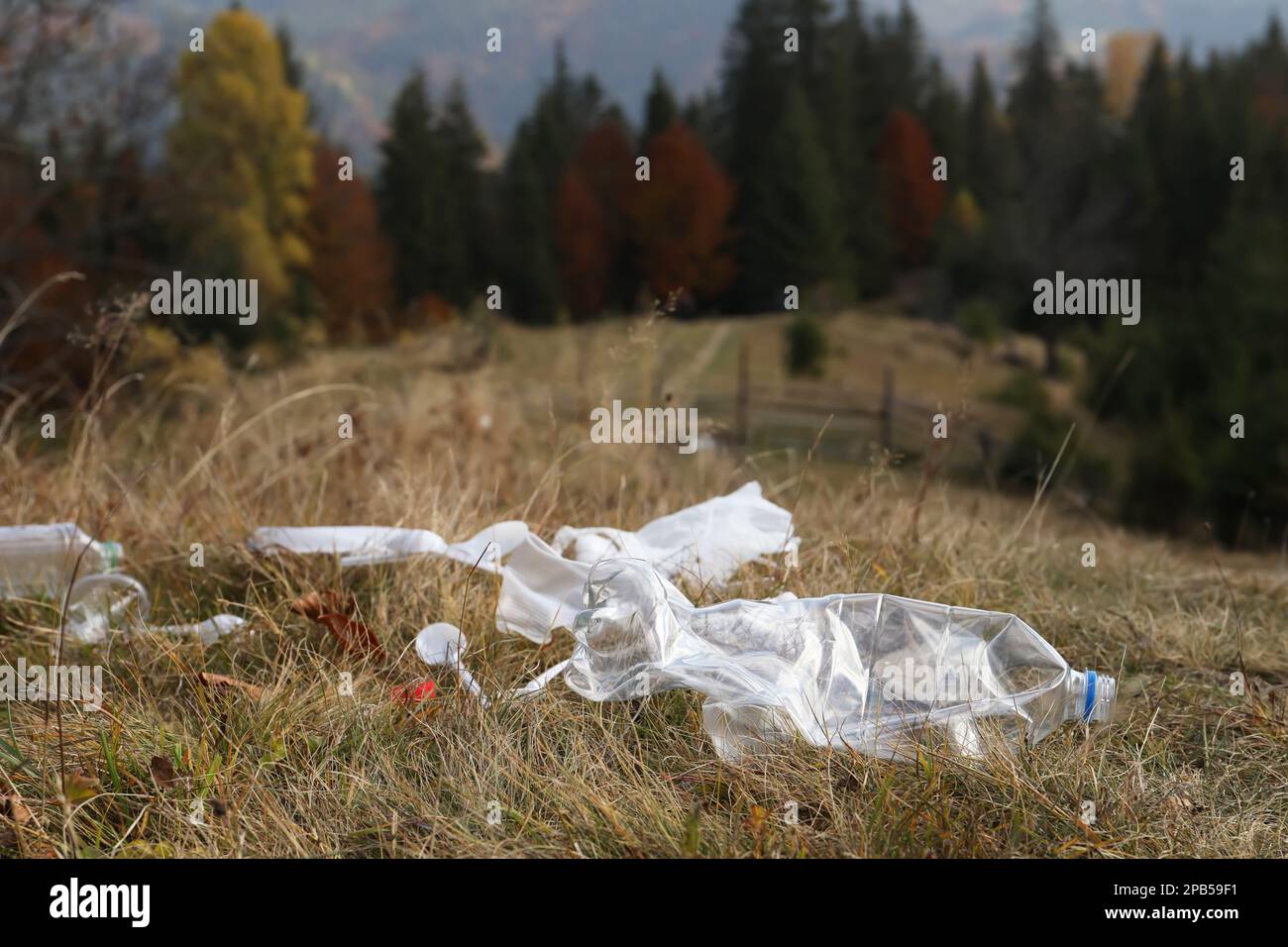 Plastikmüll verstreut auf Gras in der Nähe von Wäldern. Platz für Text Stockfoto