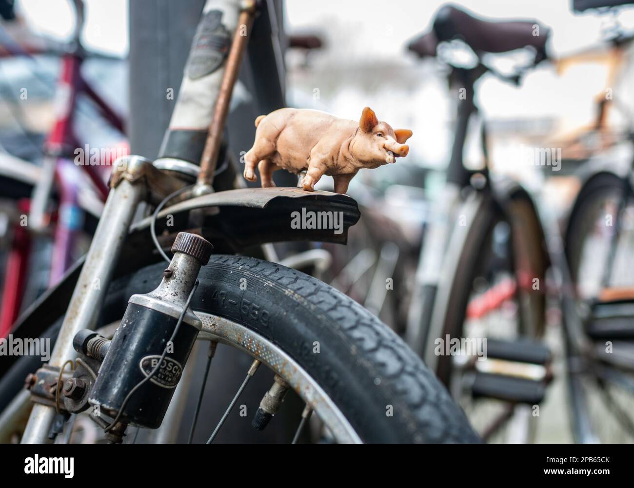 12. März 2023, Hessen, Frankfurt/Main: Ein kleines Plastikschwein wird auf den vorderen Kotflügel eines geparkten Fahrrads geschraubt und wird hoffentlich dem Fahrer oder Fahrer Glück bringen. Foto: Frank Rumpenhorst/dpa Stockfoto