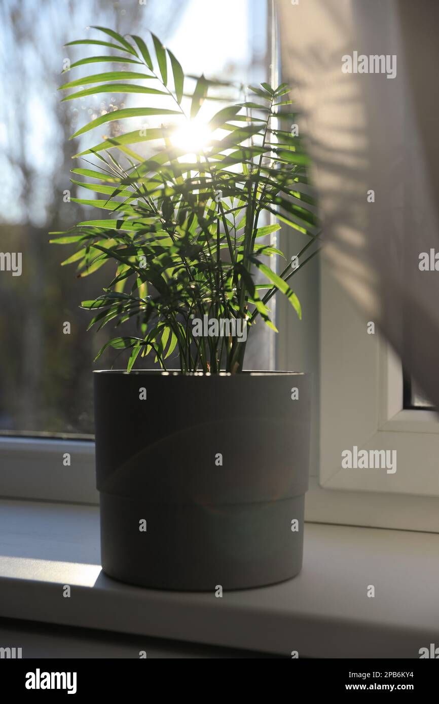 organischer dünger zimmerpflanzen Melko Organischer Mehlwurmkotdünger für Garten & Pflanzen
