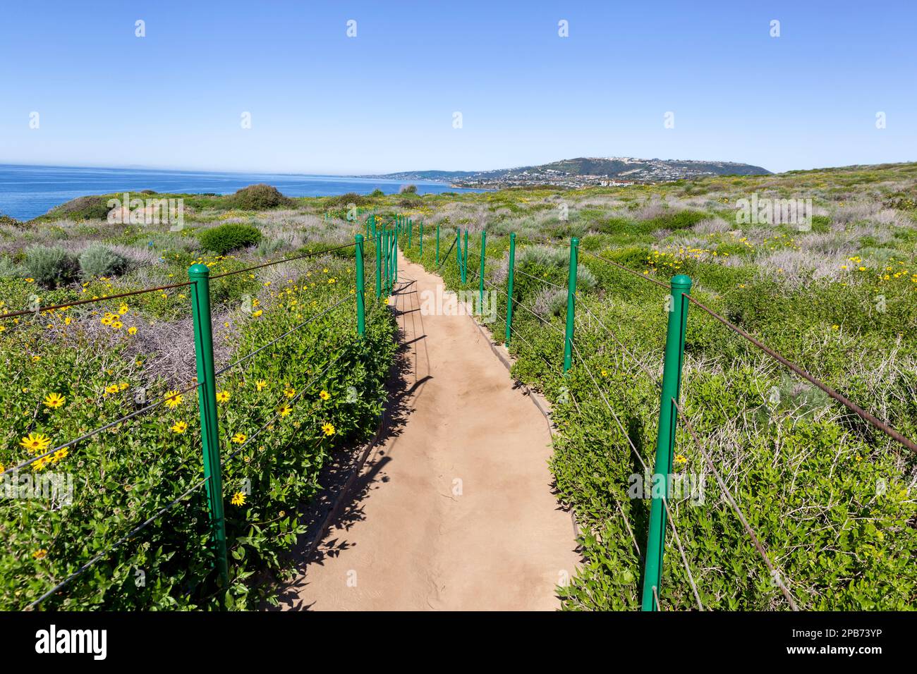 Wanderweg und Wanderweg durch die Dana Point Headlands Conservation Area, Kalifornien - die einheimischen gelben Blumen sind Encelia californica Stockfoto