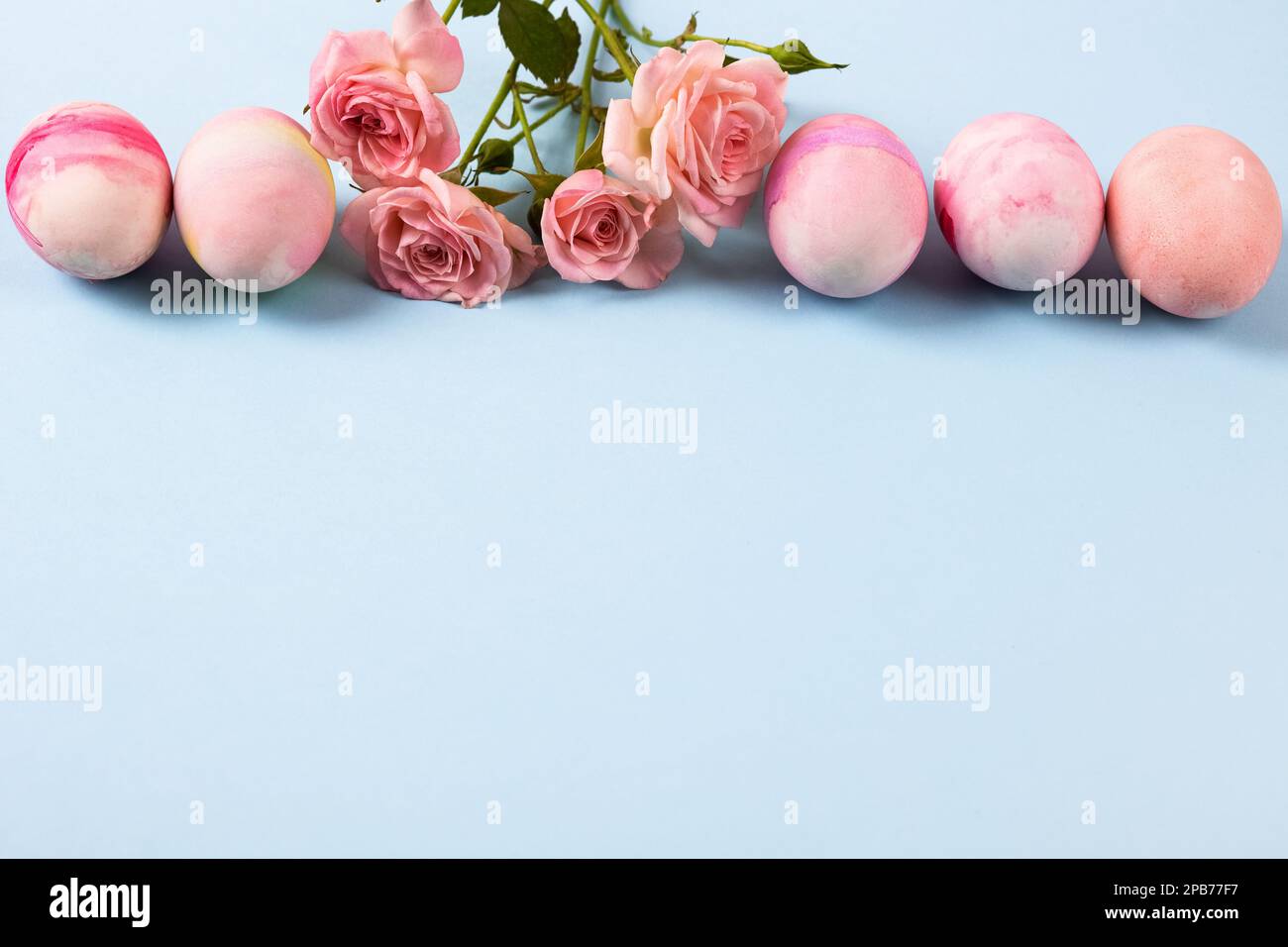 Blassrosa Ostereier mit einem Zweig rosa Rosen auf rosa Hintergrund. Frohes Osterkonzept. Grußkarte, Platz kopieren Stockfoto