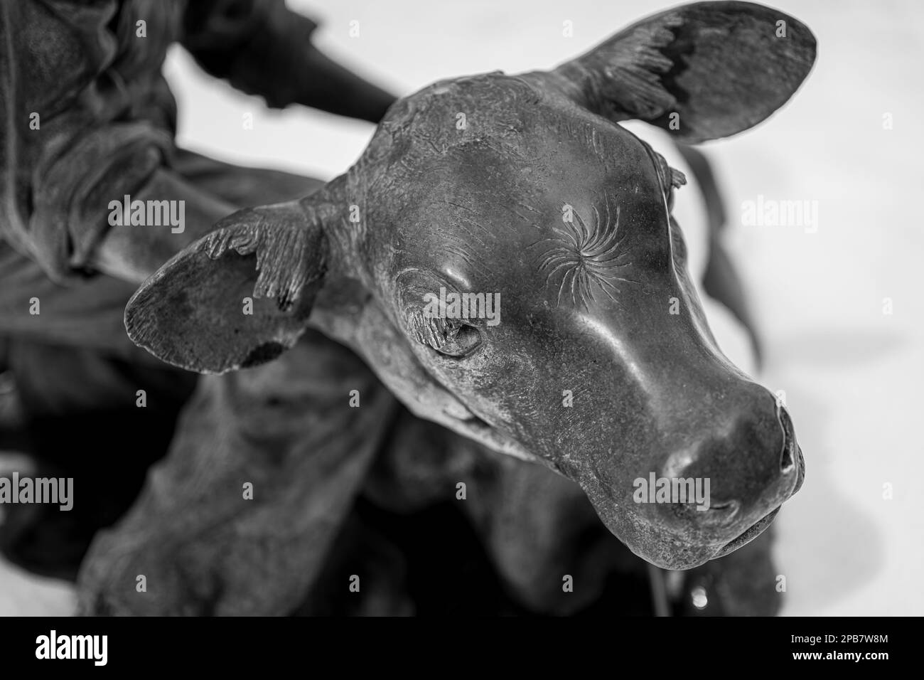 Metallkopf einer Kuh Stockfoto
