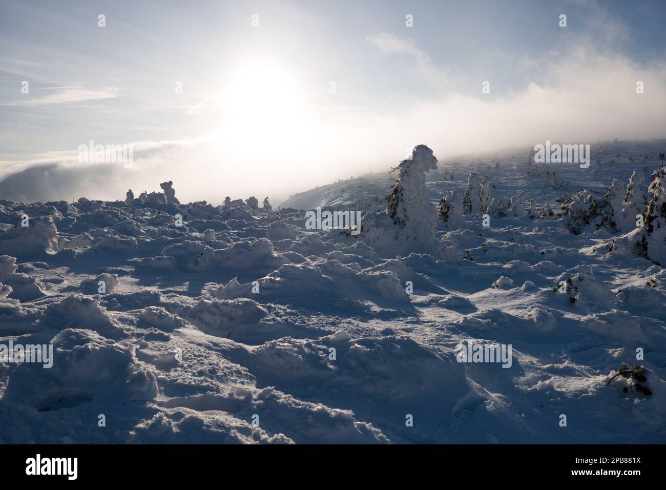 Berg Śnieżka, Karpacz, Karkonosze (Riesengebirge), Sudeten, Niederschlesien, Polen, Februar 2023 Stockfoto