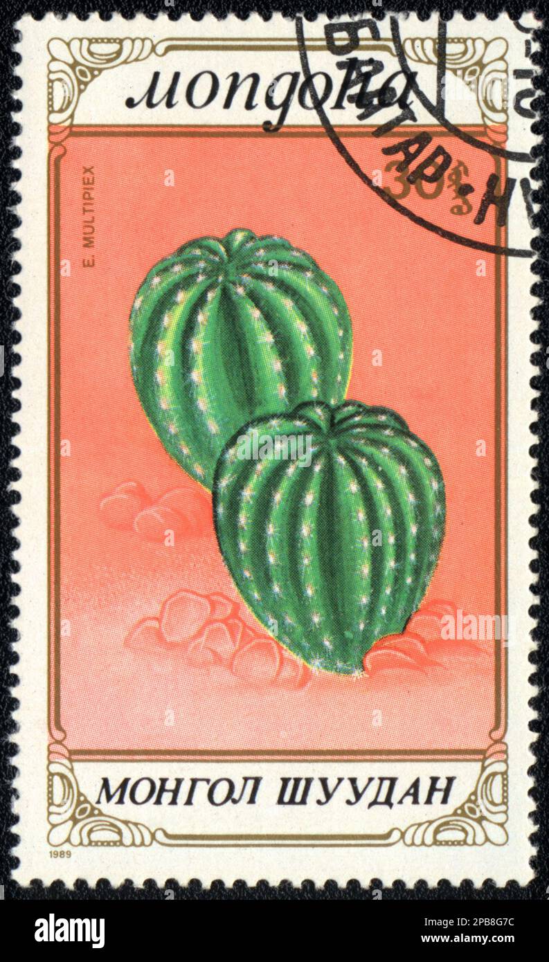 Ein in DER MONGOLEI gedruckter Stempel zeigt eine Echinopsis Oxygona, Serie "KAKTUS", 1989 Stockfoto