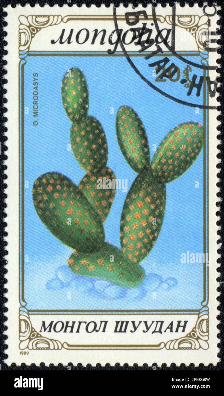 Ein in DER MONGOLEI gedruckter Stempel zeigt eine Opuntia Microdasys, Serie "KAKTUS", 1989 Stockfoto