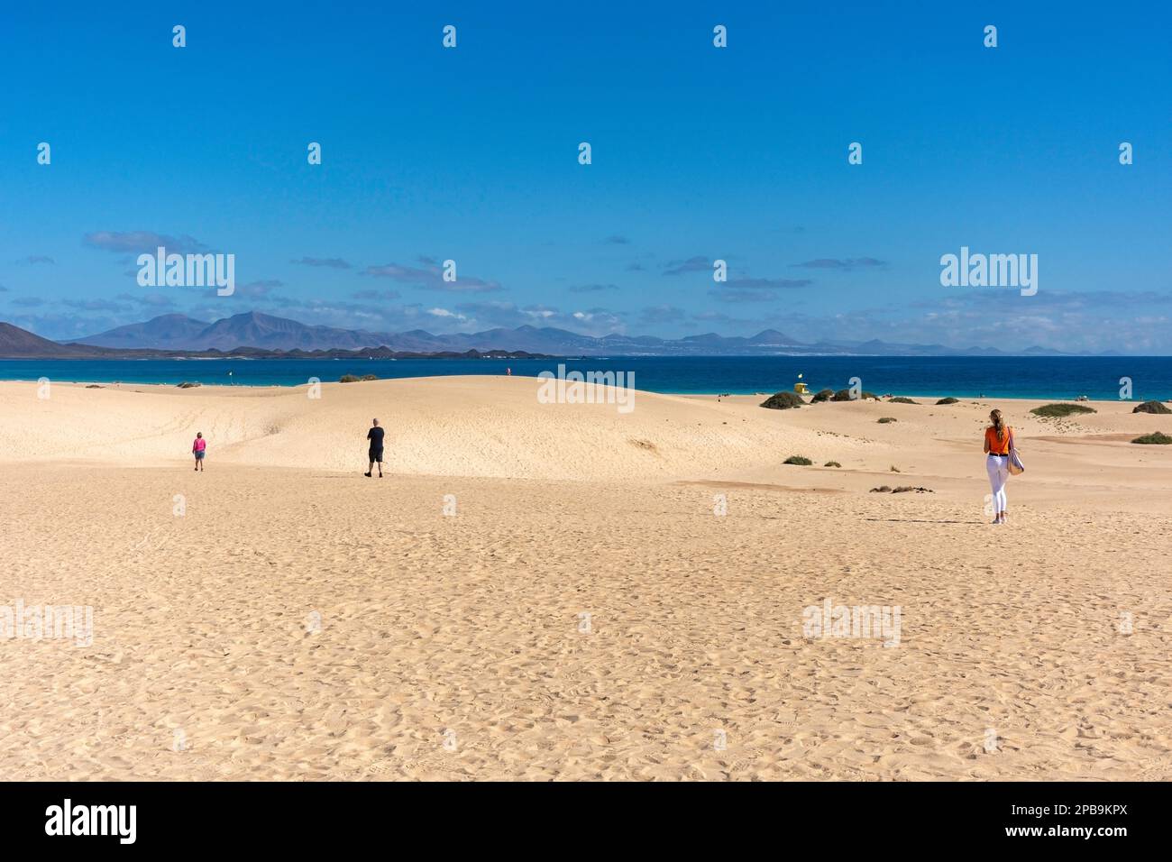 Sanddünen-Landschaft, Parque Natural de Corralejo, Fuerteventura, Kanarische Inseln, Königreich Spanien Stockfoto