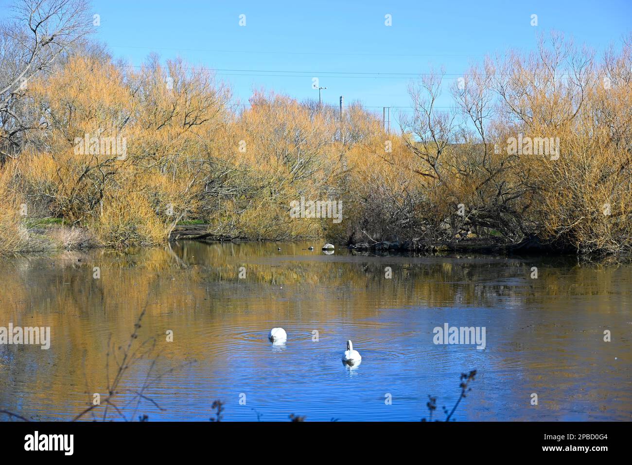 Figgate Park Portobello Edinburgh Stockfoto