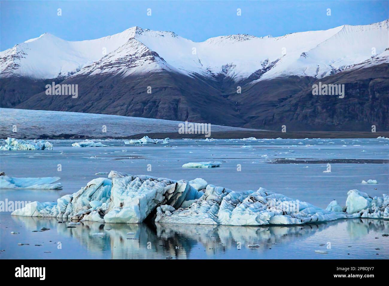 Eisberge schwimmen in der Gletscherlagune Jökulsárlón in Island während der goldenen Stunde am späten Nachmittag Stockfoto