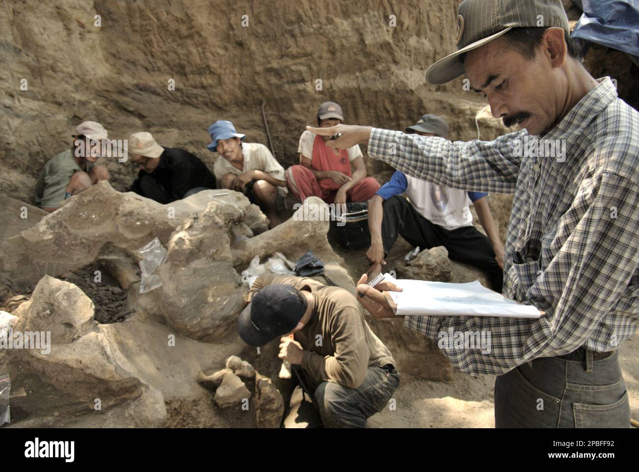 Der Paläontologe Iwan Kurniawan zeichnet eine Skizze auf Papier, die die Standorte der versteinerten Knochen von Elephas hysudrindicus zeigt – einer ausgestorbenen Elefantenart, die während der Epoche des Pleistozän lebte, die später als „Blora-Elefant“ bekannt ist – Sein Team arbeitet im Hintergrund an der Ausgrabungsstätte in Sunggun, Mendalem, Kradenan, Blora, Central Java, Indonesien. Das Team von Vertebrate Research (Geologische Agentur, indonesisches Ministerium für Energie und mineralische Ressourcen) unter der Leitung von Kurniawan selbst mit Fachroel Aziz entdeckte die Knochen der Spezies fast vollständig (etwa 90 Prozent vollständig), die später... Stockfoto