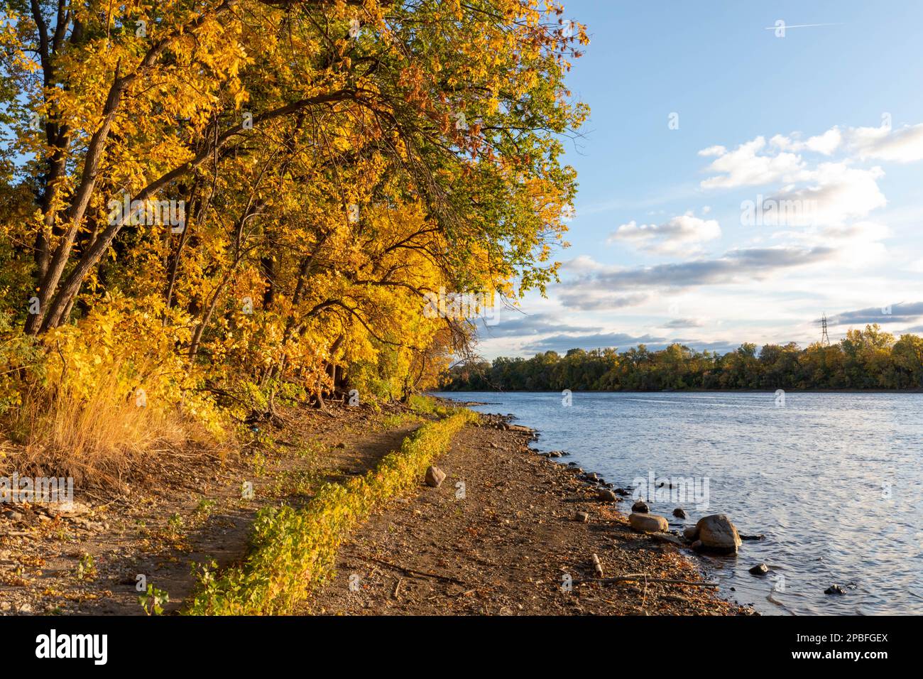 Herbstfarben auf dem Mississippi bei Minneapolis zeigen die Auswirkungen des Klimawandels auf niedrigere Flussniveaus Stockfoto