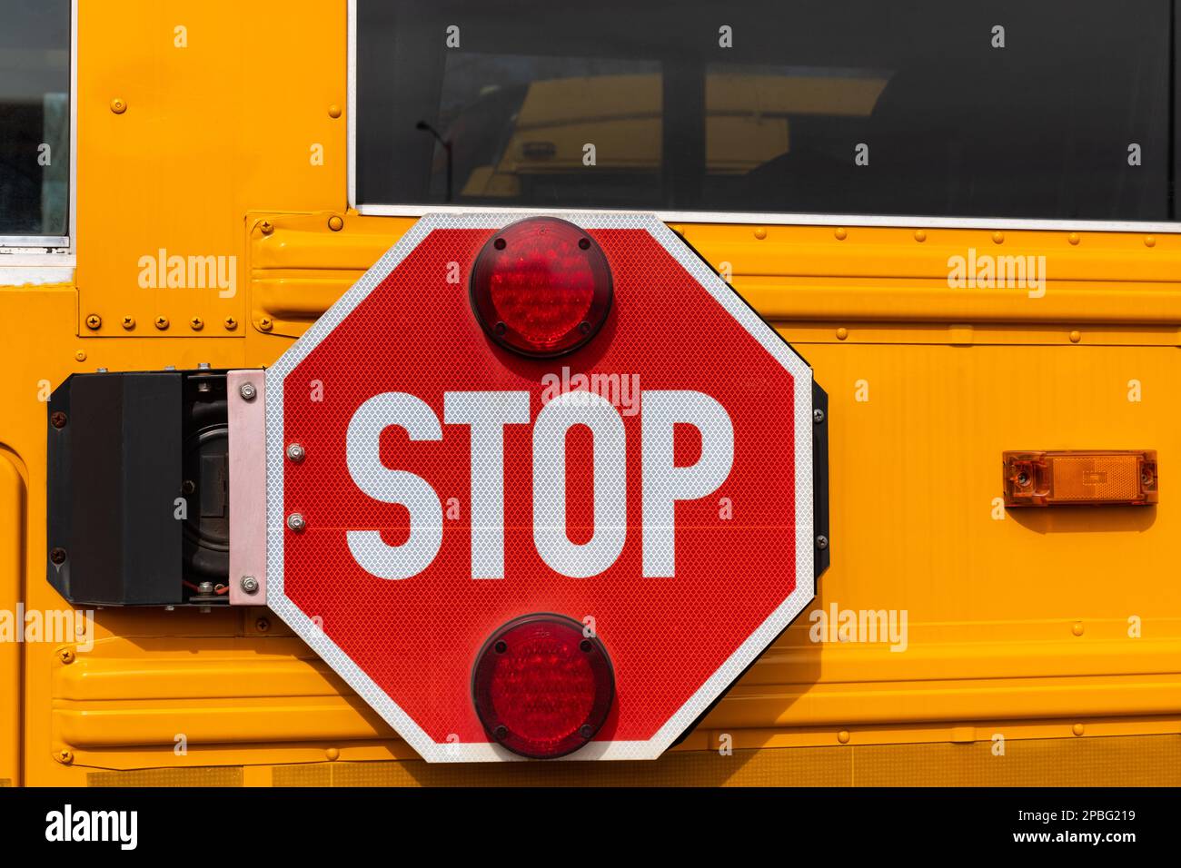 Ein großes rotes Stoppschild neben einem gelben Schulbus. Stockfoto