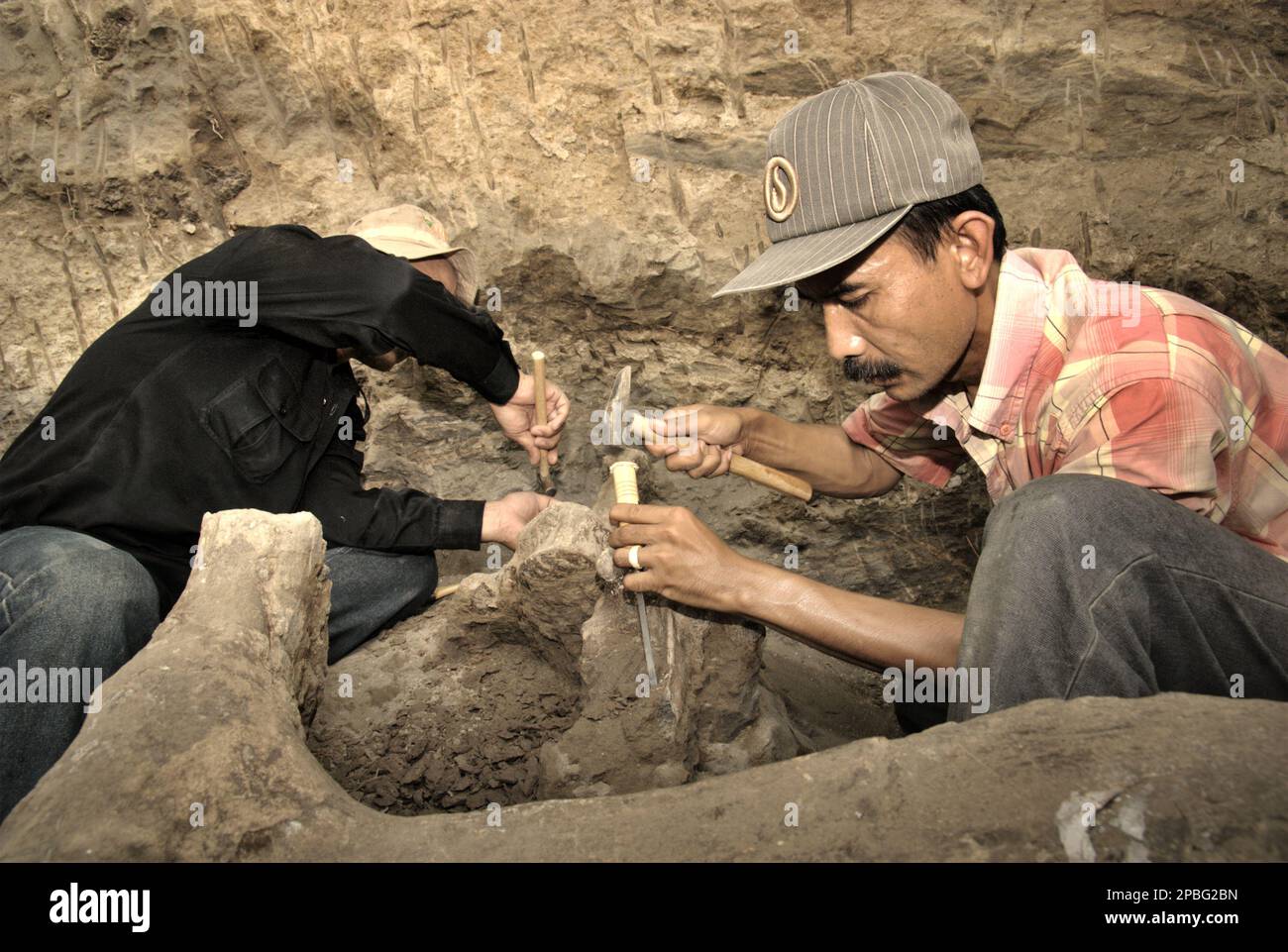 Paläontologe Iwan Kurniawan (rechts) arbeitet mit einem Forschungskollegen an der Ausgrabung versteinerter Knochen einer ausgestorbenen Elefantenart, die wissenschaftlich als Elephas hysudrindicus, oder allgemein als Blora Elefant bezeichnet wird, in Sunggun, Mendalem, Kradenan, Blora, Zentraljava, Indonesien. Das Team von Wissenschaftlern von Vertebrate Research (Geologische Agentur, indonesisches Ministerium für Energie und mineralische Ressourcen) unter der Leitung von Kurniawan selbst mit Fachroel Aziz entdeckte die Knochen der Spezies fast vollständig (etwa 90 Prozent vollständig), was es ihnen später ermöglichen würde, eine wissenschaftliche... Stockfoto