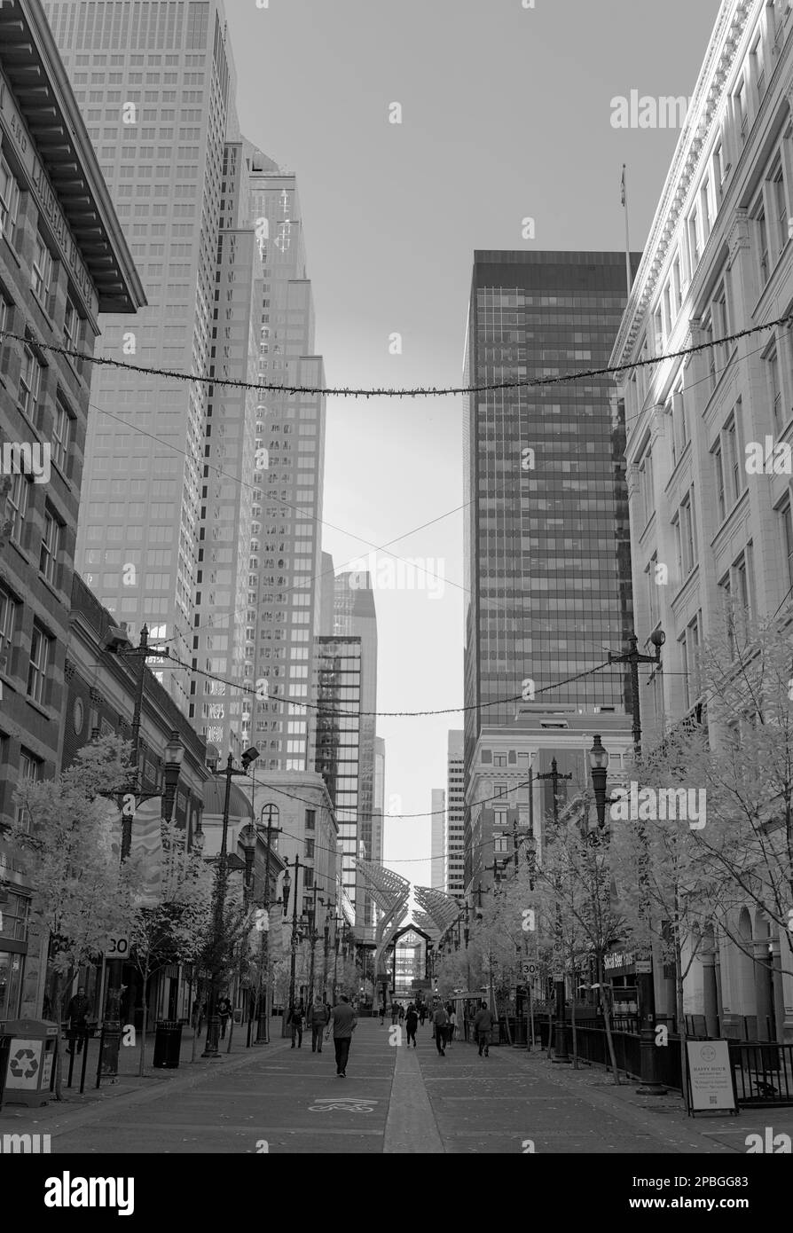 Perspektive auf Stephen Avenue, Calgary Stockfoto