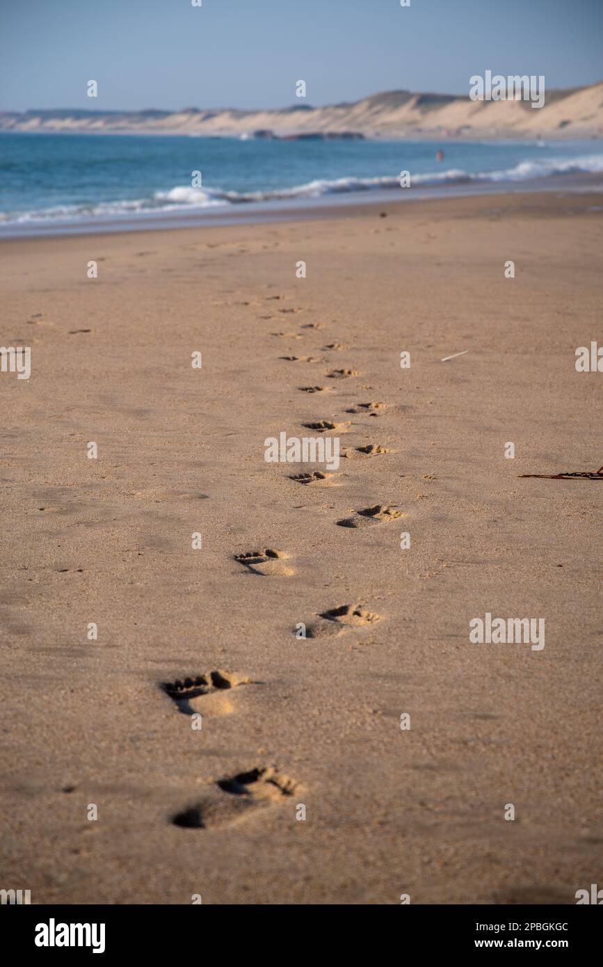 Fußspuren im Sand mit blauem Meer und Dünen im Hintergrund Stockfoto