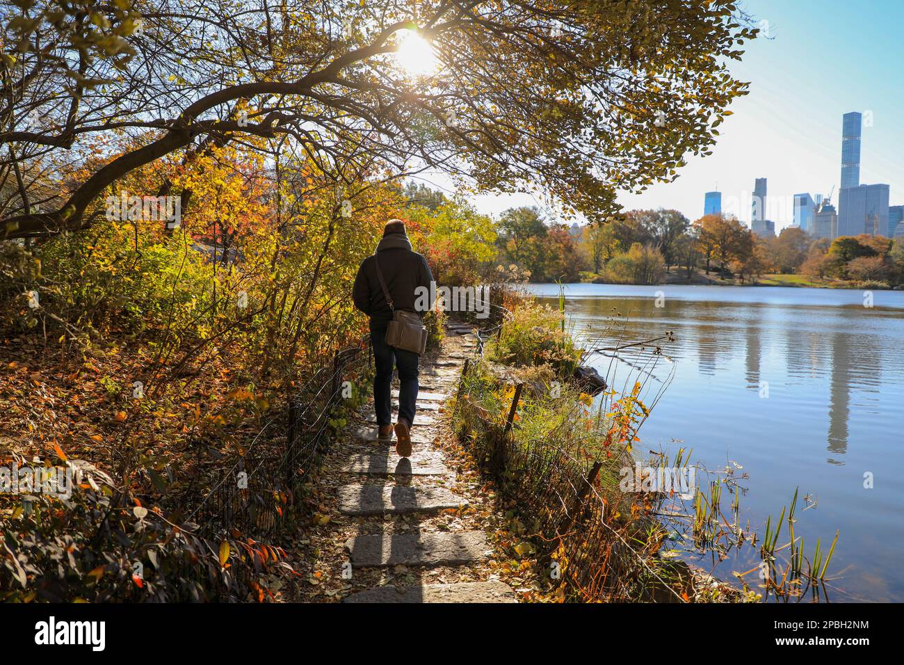Ein hübscher Mann, der im Herbst durch den Park spaziert, während die Herbstfarben blühen Stockfoto
