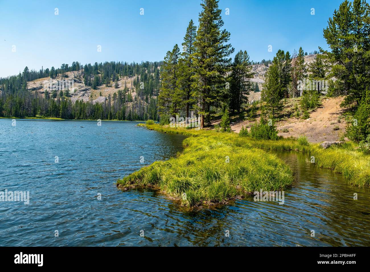 Bayhorse Lake, Idaho Stockfoto