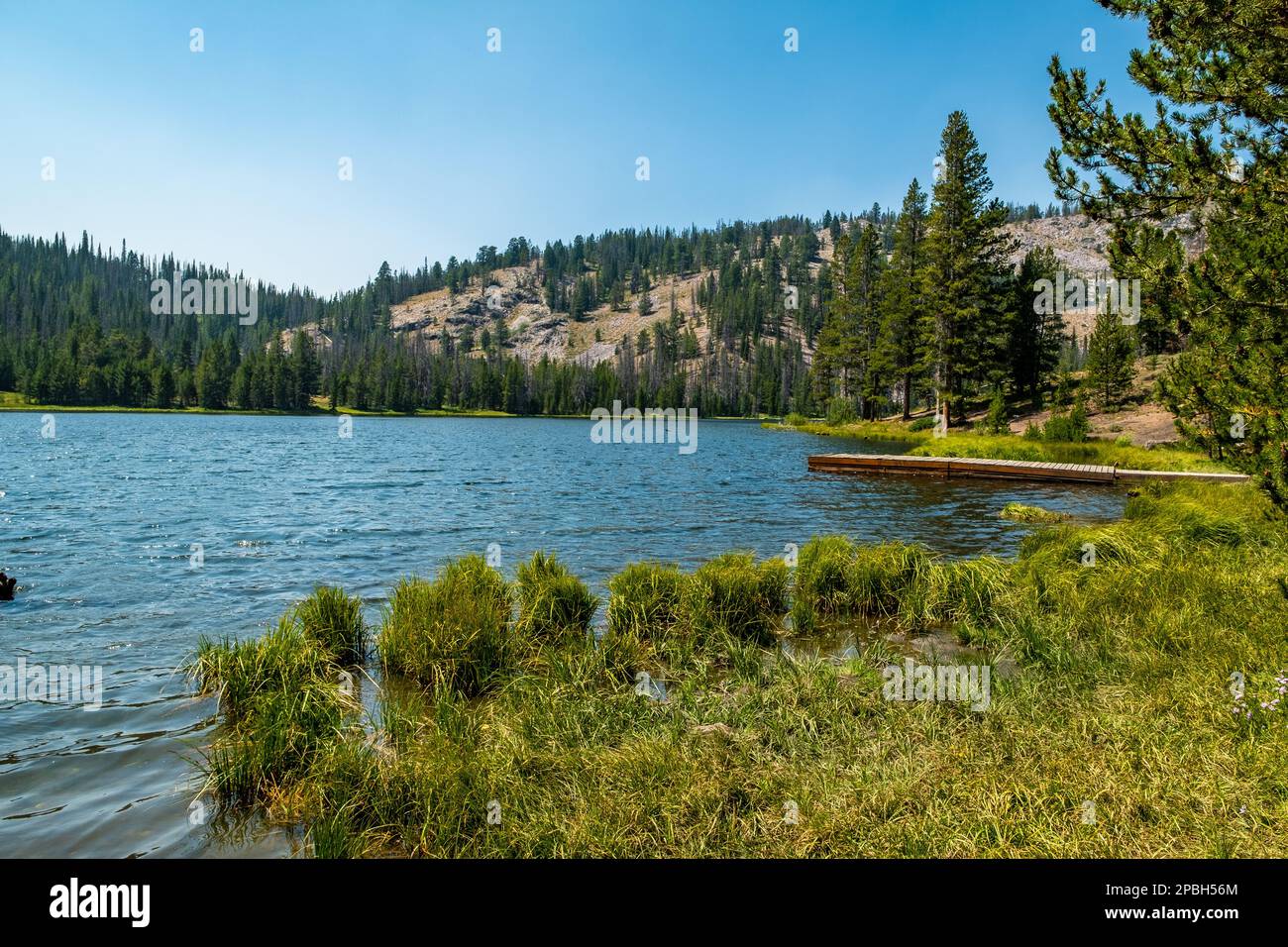 Bayhorse Lake, Idaho Stockfoto