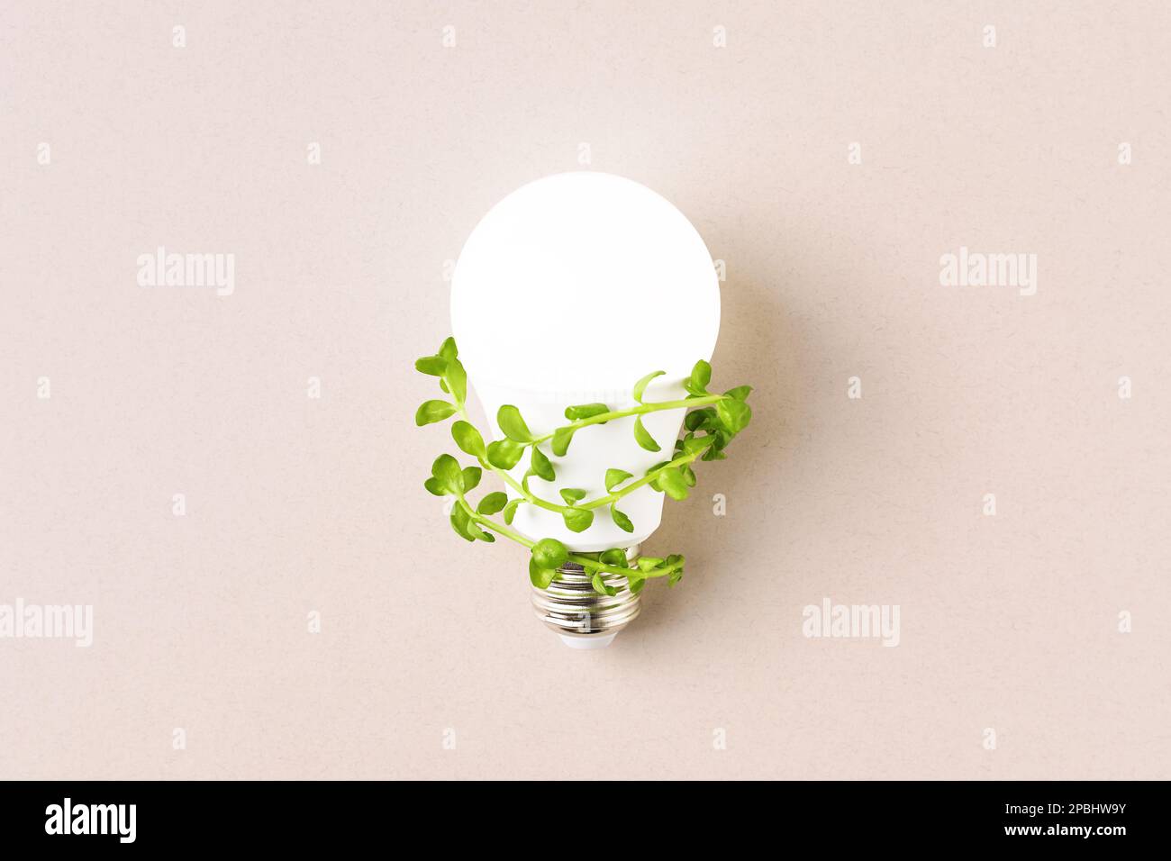 Glühbirne mit grünen Blättern auf beigefarbenem Hintergrund. Kreatives Konzept für grüne Energie. Eco LED-Lampe, umweltverträglich. Stockfoto