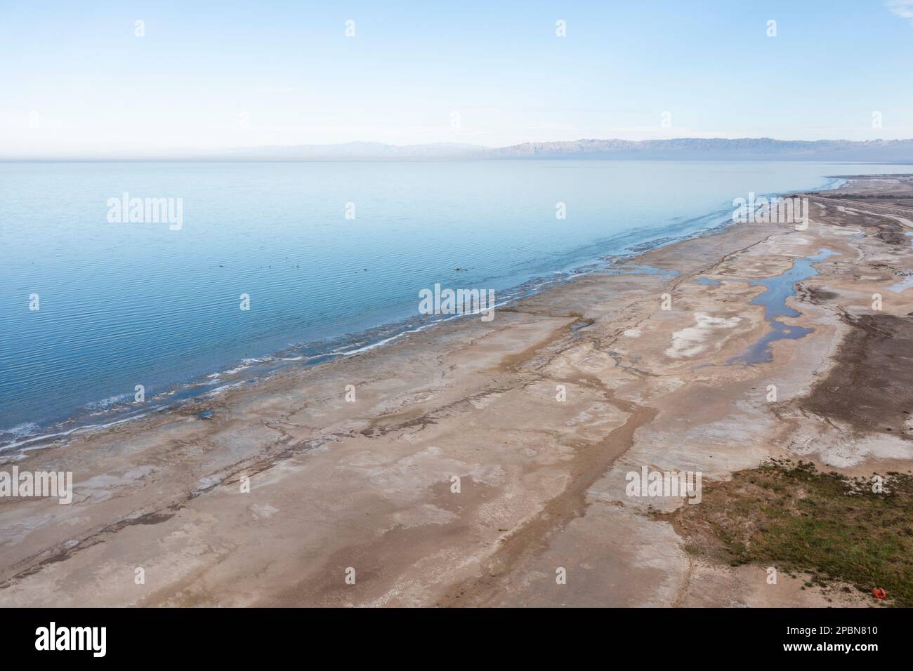 Die kalifornische Salton Sea schrumpft aufgrund des Klimawandels, der anhaltenden Dürre und der sinkenden Zuflüsse aus der landwirtschaftlichen Abwässerung, die vom Colorado River gespeist wird. An der schwindenden Küste sind nicht nur salzige Schlammflächen und tote Fische, sondern auch gefährliche Chemikalien wie Arsen, Selen, Chrom und DDT sichtbar. Wenn der Wind aufweht, erzeugen diese Schadstoffe giftige Staubwolken, die ein Gesundheitsrisiko für die Bewohner des Imperial Valley darstellen – und für die Menschen in ganz Südkalifornien. Die Saltonsee ist zu einem der dringendsten Umweltprobleme im amerikanischen Westen geworden. Stockfoto