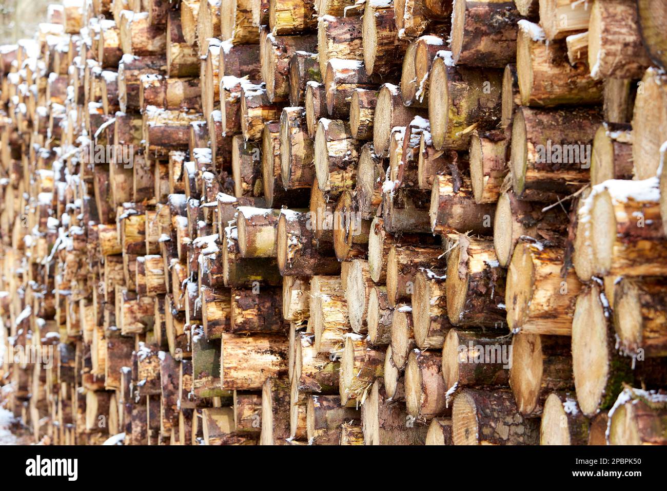 Seitenansicht auf Holzstapel im Winter Stockfoto